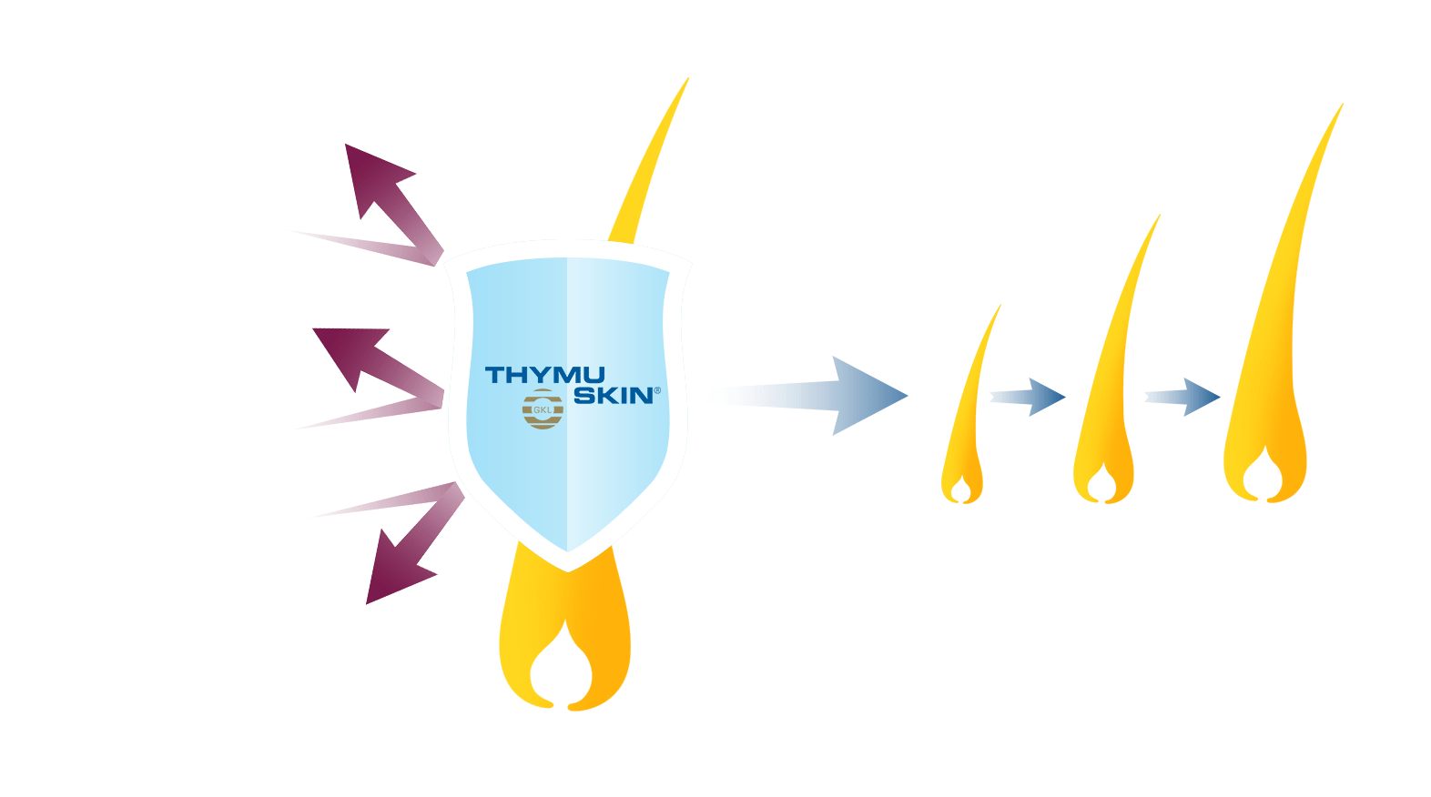 Thymuskin Produktlinien